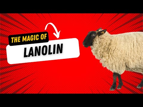 Lanolin Explained: Skincare’s Natural Miracle