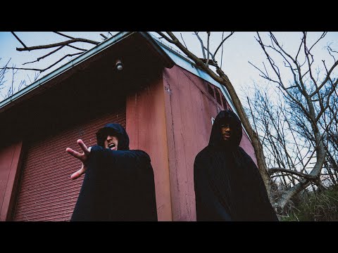 Video thumbnail for Dust Mites