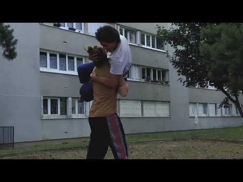 Impact d'une course [Le Plus Petit Cirque du Monde] - La Horde dans les Pavés