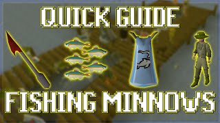 Quick Guide to Fishing Minnows in OSRS