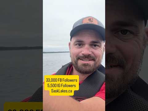 33,000 followers on FB