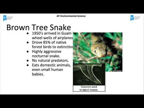 AP Environmental Science Unit 9 Invasive Species