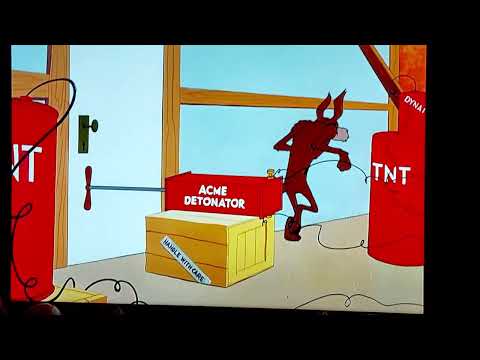 Wile E. Coyote vs Road Runner