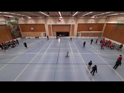 P14, KS/SK,HF Hatsina P14 pojat - Welhot Flames