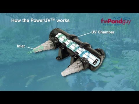 The Pond Guy® Product Video - PowerUV™ UV Clarifier - How to Get Rid of Green Pond Water