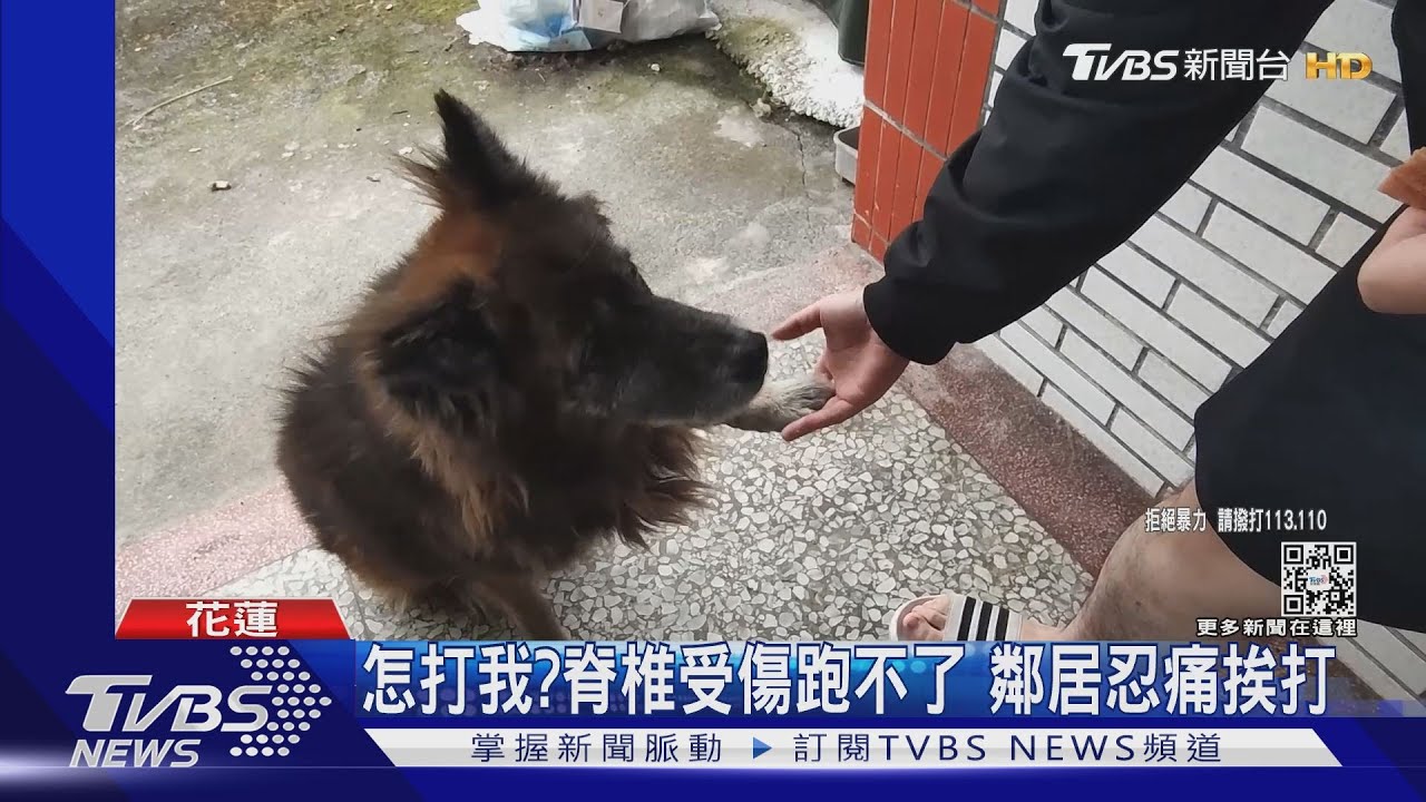 為愛犬出氣!男持塑膠椅 狂K暴打鄰居