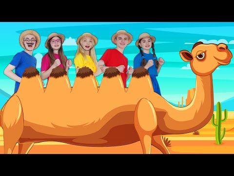 Alice the Camel ???? Nursery Rhymes & Kids Songs
