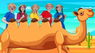 Alice the Camel 🐫 Nursery Rhymes &amp; Kids Songs