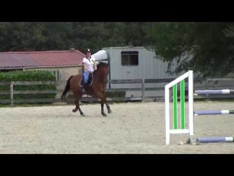Laure et Play ... séance de travail à l'extérieur