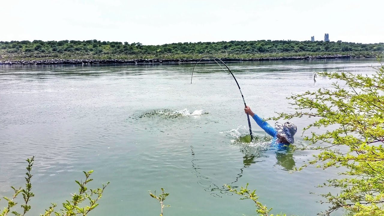 Dangerous Fishing in Deep River😨| Beautiful fishing spot ever🌿🍃