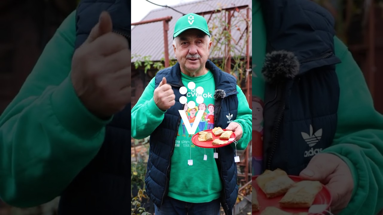 Никогда не выбрасываю чайные пакетики! 5 идей применения с пользой для рассады и не только