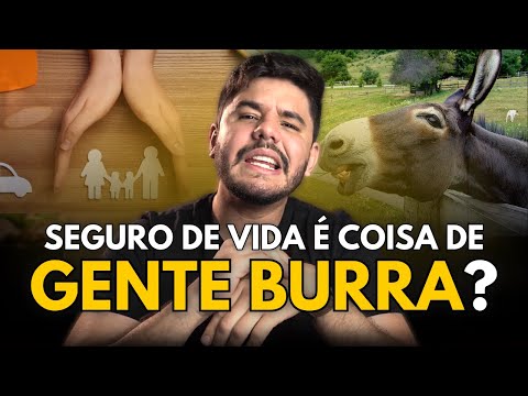 Vale a pena fazer seguro de vida?