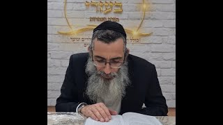 הרב אליעזר לוי | שיעור 15 בספר מסילת ישרים - דרגות בנסיונות ודרכי כבישתם (הרב אליעזר לוי) - התמונה מוצגת ישירות מתוך אתר האינטרנט יוטיוב. זכויות היוצרים בתמונה שייכות ליוצרה. קישור קרדיט למקור התוכן נמצא בתוך דף הסרטון הרב אליעזר לוי | שיעור 15 בספר מסילת ישרים - דרגות בנסיונות ודרכי כבישתם (הרב אליעזר לוי) - התמונה מוצגת ישירות מתוך אתר האינטרנט יוטיוב. זכויות היוצרים בתמונה שייכות ליוצרה. קישור קרדיט למקור התוכן נמצא בתוך דף הסרטון