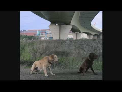 Priteo - 5. Woof! (Prod. UVE)