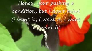 Jamiroquai - Butterfly lyrics video