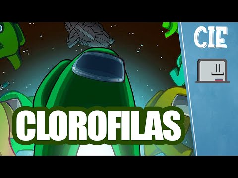 Photosynthesis and Chlorophylls [FUN]