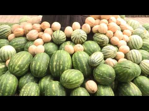 Može bolje ep.52 02.04.2018. - Proizvodnja rasada lubenice