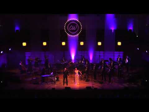 Christoph Walter Orchestra – Disco Medley – LIVE