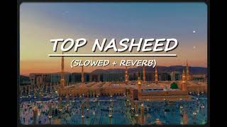 Download lagu Top Nasheed (Slowed & Reverb) | Heart Touching Nasheed | Viral Nasheed | Exclusive Nasheed mp3 Download lagu Top Nasheed (Slowed & Reverb) | Heart Touching Nasheed | Viral Nasheed | Exclusive Nasheed mp3