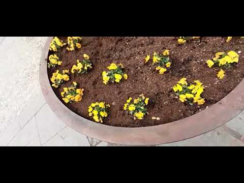 Paesi storici in montagna Mondovì in Provincia di Cuneo - Italia