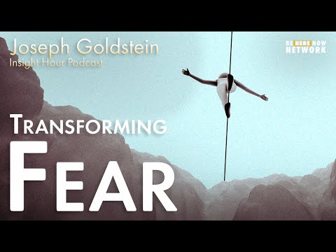 Joseph Goldstein on Transforming Fear - Insight Hour Ep. 143