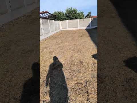După lucrare 1 - Alex Landscaping