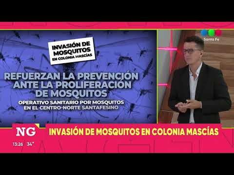 Colonia Mascías: ante la invasión de mosquitos, realizan tareas de prevencióm
