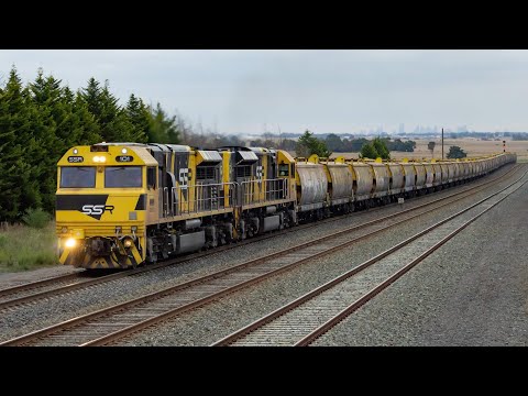 Pacific National/SSR’s MC hauled freight trains! (Featuring SSR101/SSR102)