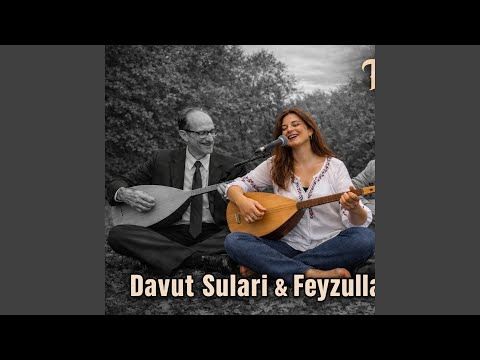 Davut Sulari Feyzullah Çınar Deyişleme Doğaçlama (feat. Davut Sulari & Feyzullah Çınar)