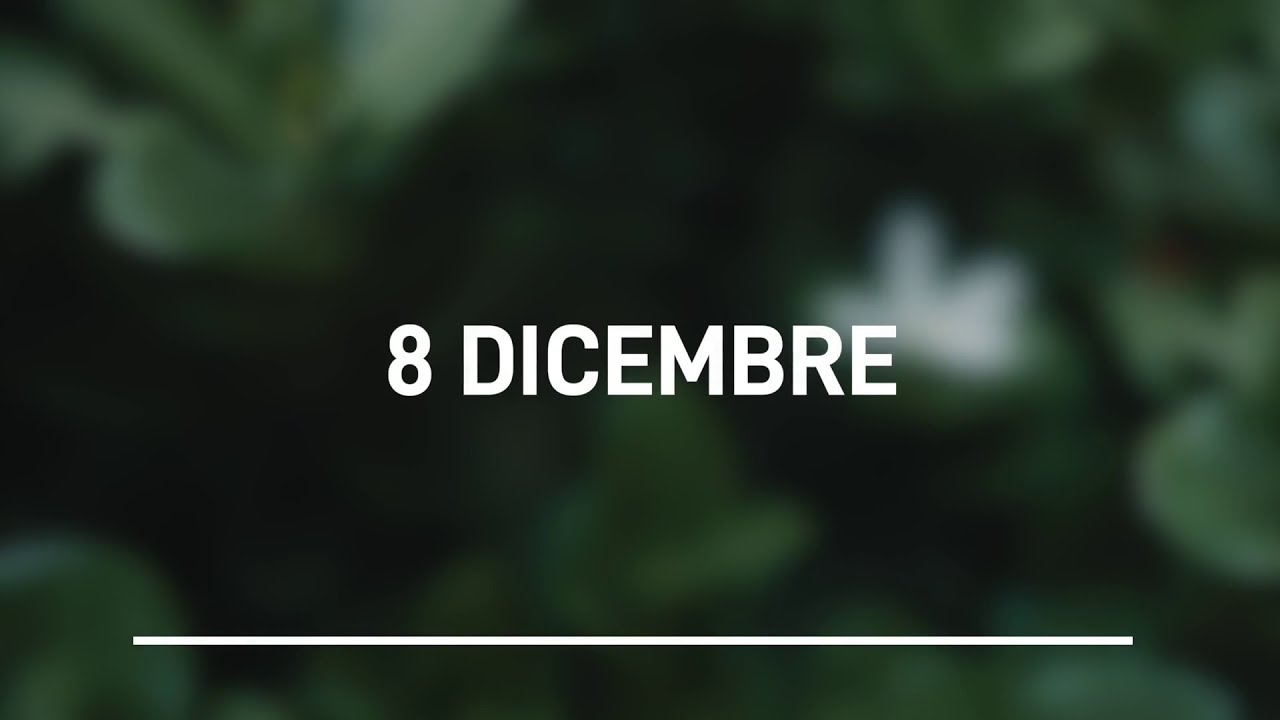 Meditazione Calendario “Parole di Vita” del 08 Dicembre 2023