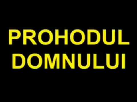 SLUJBA ORTODOXA DIN VINEREA MARE PROHODUL DOMNULUI ISUS HRISTOS