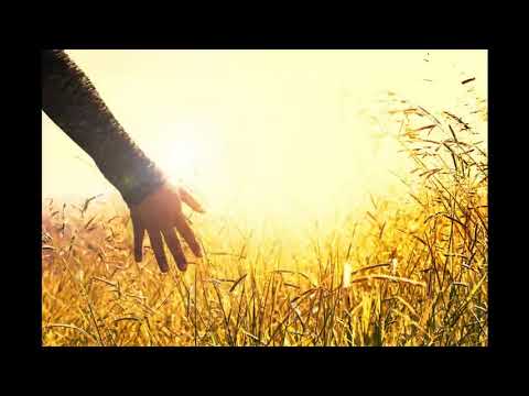 Motivational Music is Peaceful   2020 DJ HAYALET