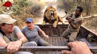 75 Incredible Safari Moments Caught On Camera