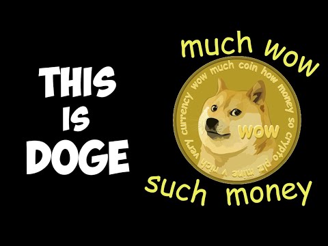 This is Doge, The Abridged History Super Fun Time! #doge #dogecoin