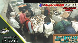 【Live camera in Tokyo Japan】デカ盛り弁当屋キッチンDIVE 中継ライブカメラ 【渋谷・秋葉原出店計画中】JR亀戸駅 カメイドクロック近隣 24時間営業 live webcam