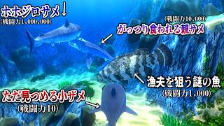 巨大サメに食われないよう大海の中で成長をしていく子サメの物語が面白すぎるｗｗｗ【Feed and Grow Fish】実況プレイ