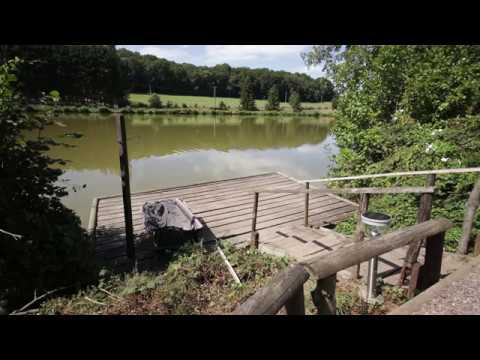 Venue videos photo 3