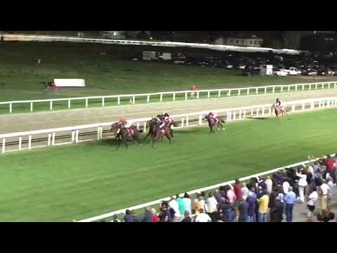 Blu Navy Seal trionfa al Città di Varese