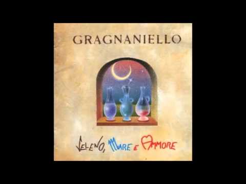 Enzo Gragnaniello-Senza voce