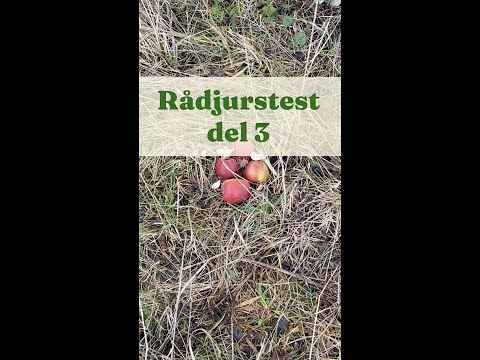 Rådjurstest del 3 - Trädgårdshacks med GardenR