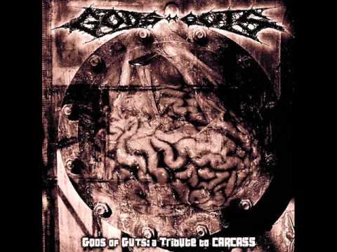 gods of guts;a tribute to carcass PATOLOGICUM - Genital Grinder