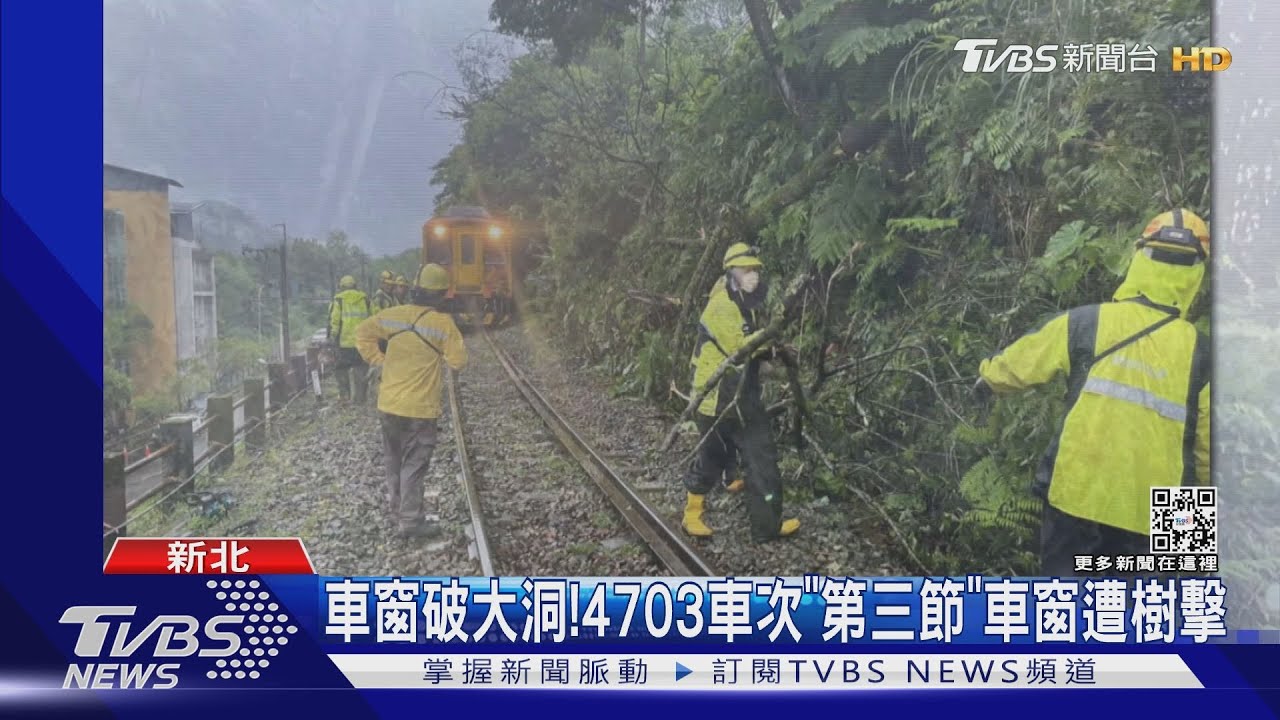 路樹倒塌!平溪線列車遭擊中 車廂玻璃全碎