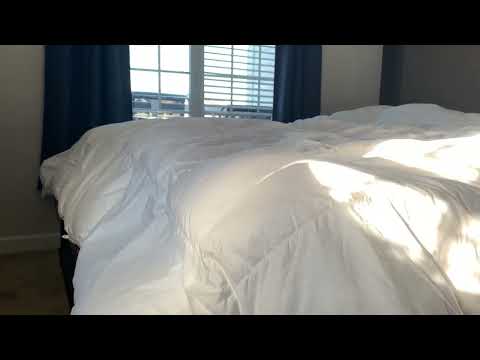 Stay Comfortably Warm with this Down Comforter