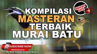 Download lagu Kompilasi Masteran Segala Macam Burung Juara Kolibri Manggar vs Cucak Cungkok Gacor VIRAL 2023 mp3