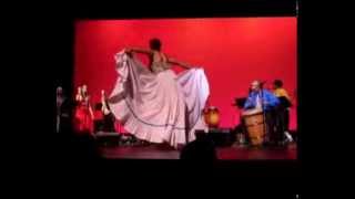 Los Pleneros de la 21, Trailer 2013