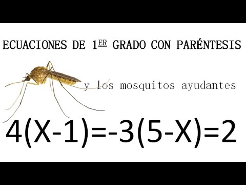 ECUACIONES DE PRIMER GRADO CON PARÉNTESIS. Mosquitos interesados en ecuaciones🦟
