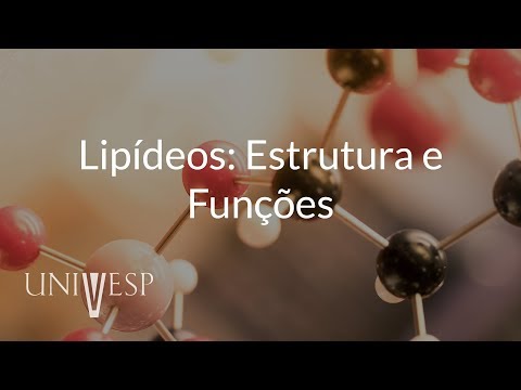Bioquímica - Lipídios: estruturas e funções | Aula 4