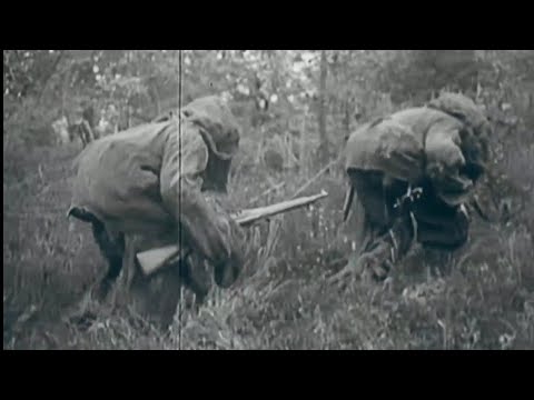 British Army - Special Air Service first sniper's detachment commando in WW2