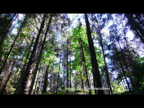 Artem ft. Yga - Metai nudaze plaukus