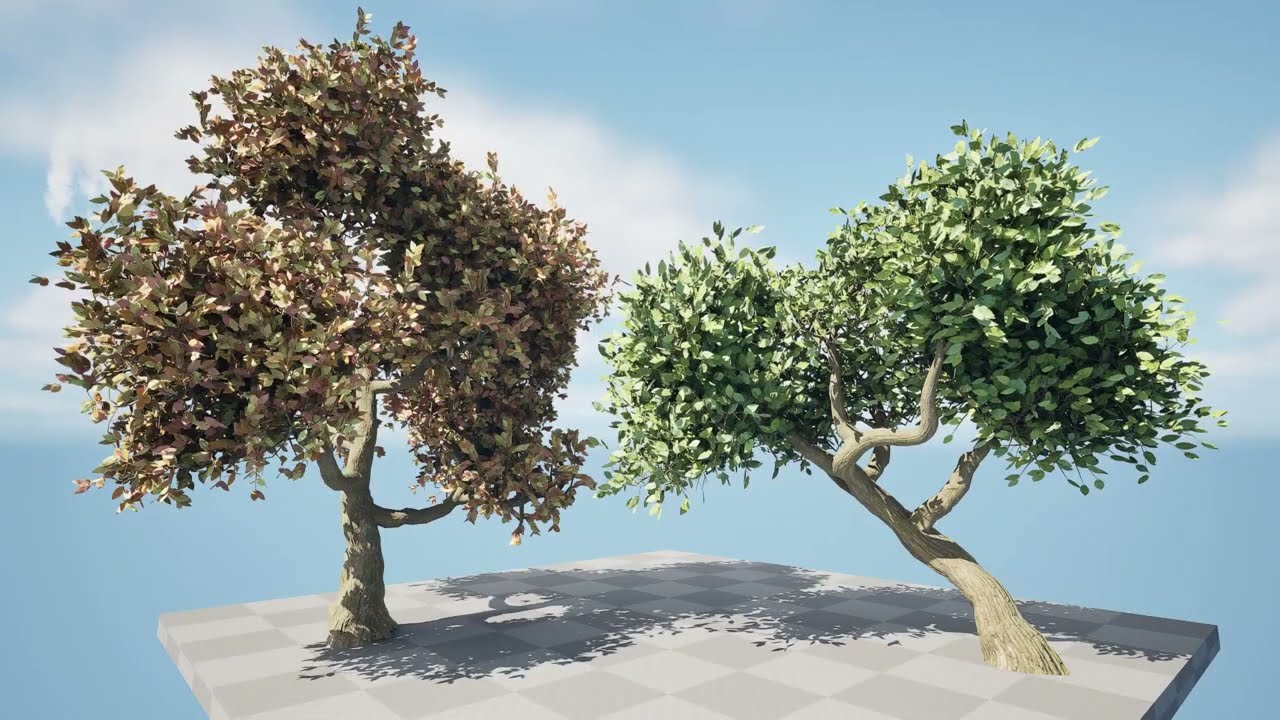 Lush Green Summer Tree and Vibrant Fall Tree s 3D Model